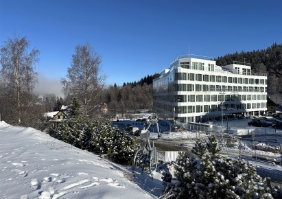 mieszkanie na sprzedaż - Stronie Śląskie, Sienna